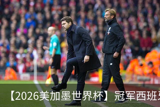 【2026美加墨世界杯】冠军西班牙队阵容图鉴，斗牛士力克阿根廷