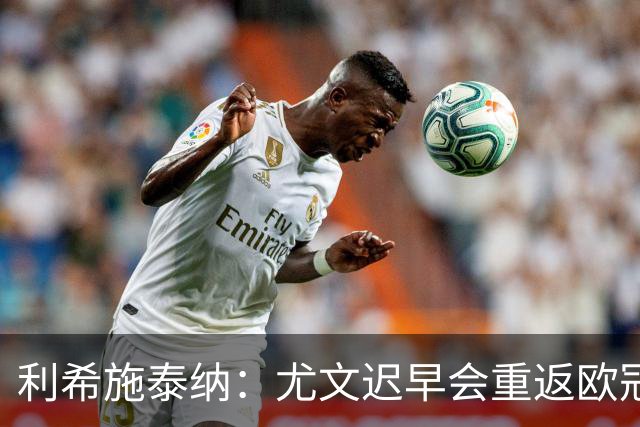 利希施泰纳：尤文迟早会重返欧冠；斯帕莱蒂非常出色