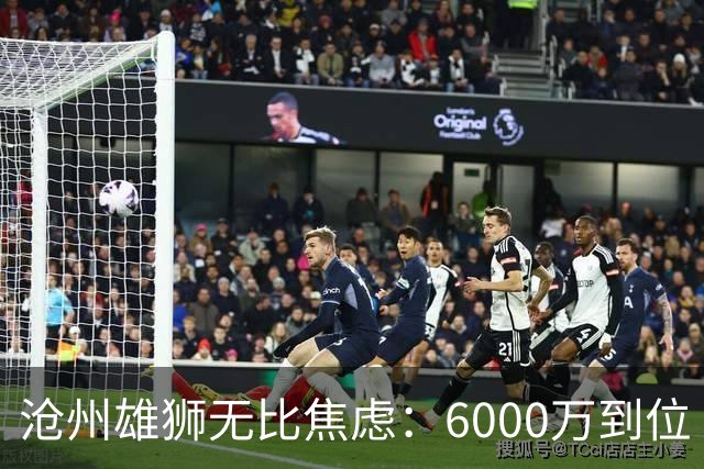 沧州雄狮无比焦虑：6000万到位 准入陷入僵局？