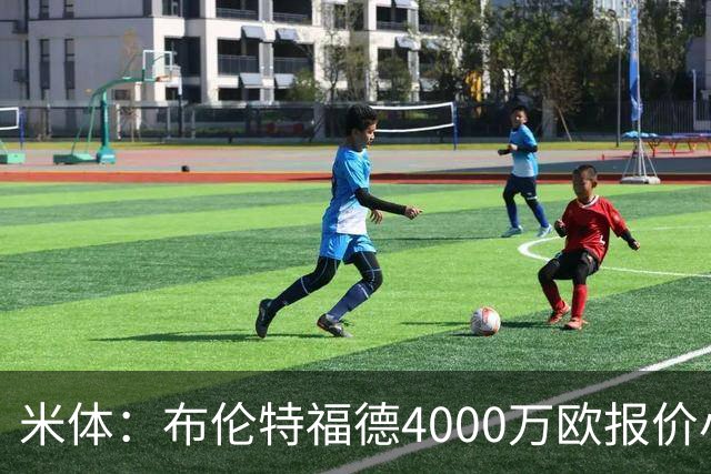 米体：布伦特福德4000万欧报价小斯坦科维奇，国米拒绝