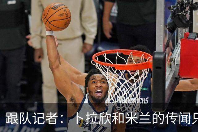 跟队记者：卜拉欣和米兰的传闻只是个设想，尚未展开实质谈判