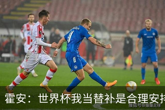 霍安：世界杯我当替补是合理安排；不应由我评估是否签小蜘蛛
