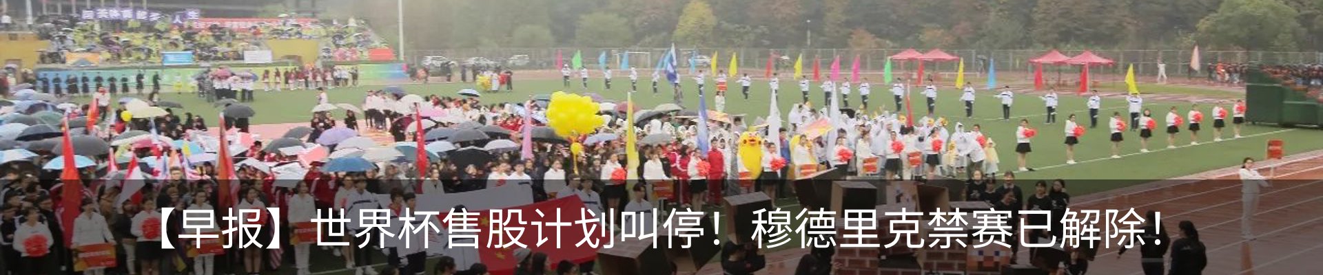 最新动态