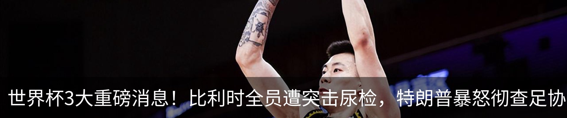 最新动态