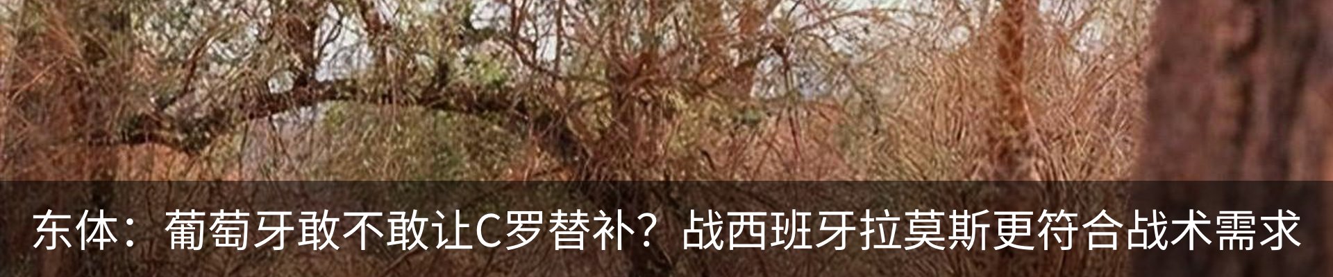 最新动态