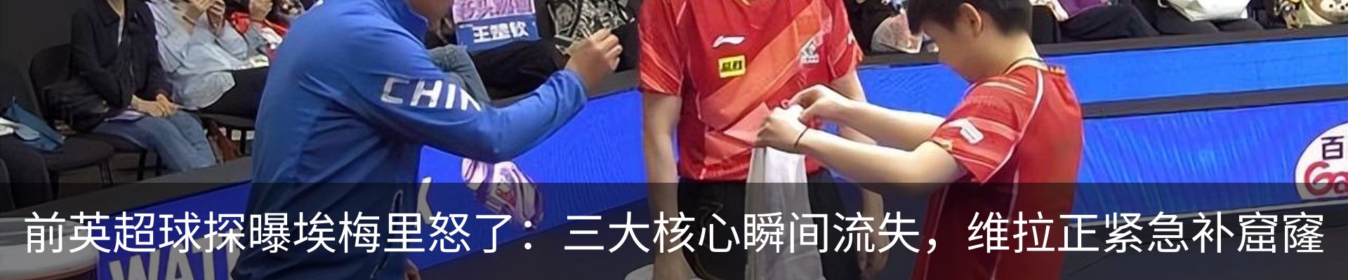 最新动态