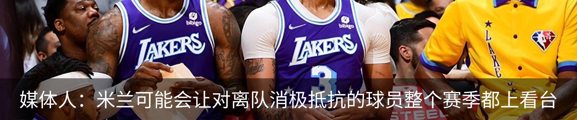 最新动态