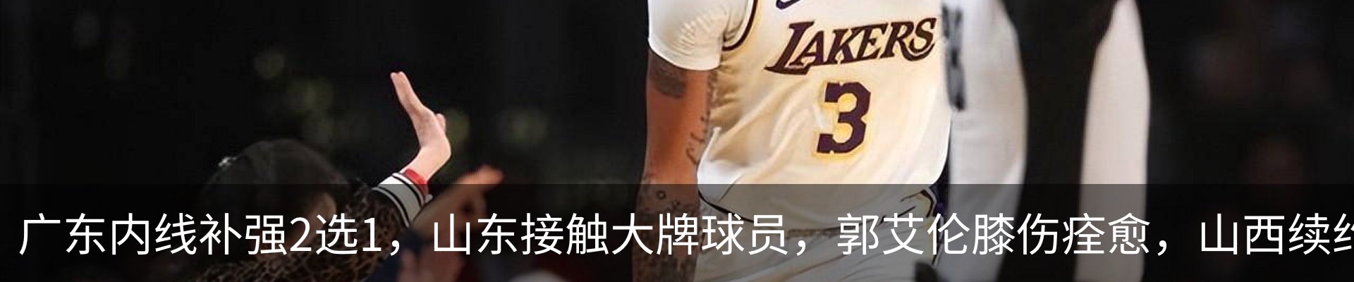 最新动态