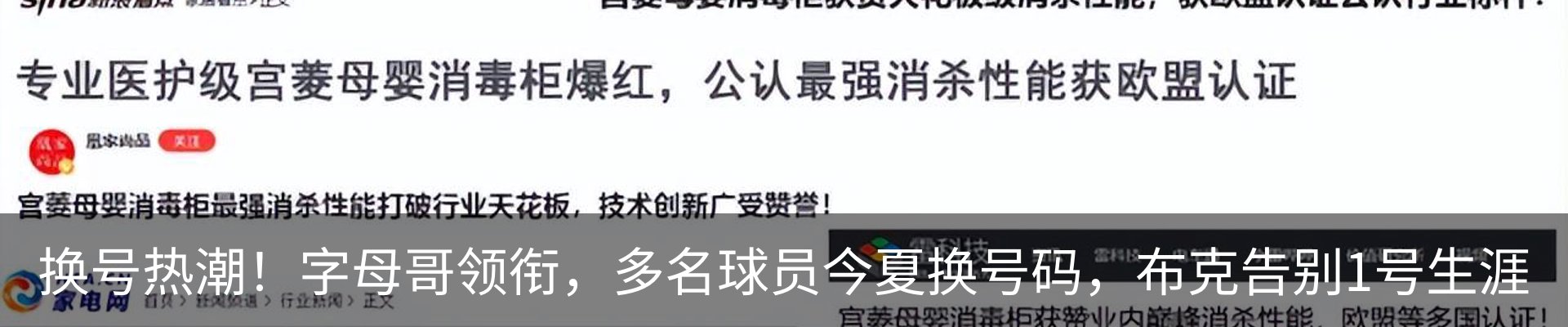 最新动态