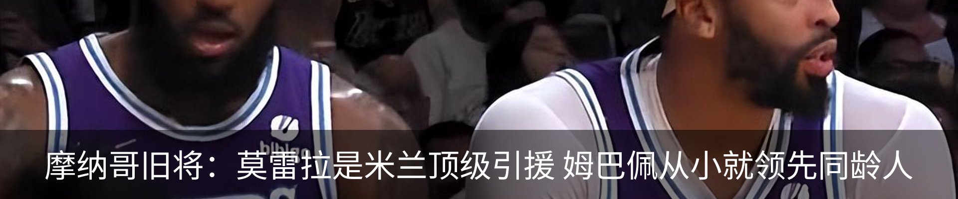 最新动态
