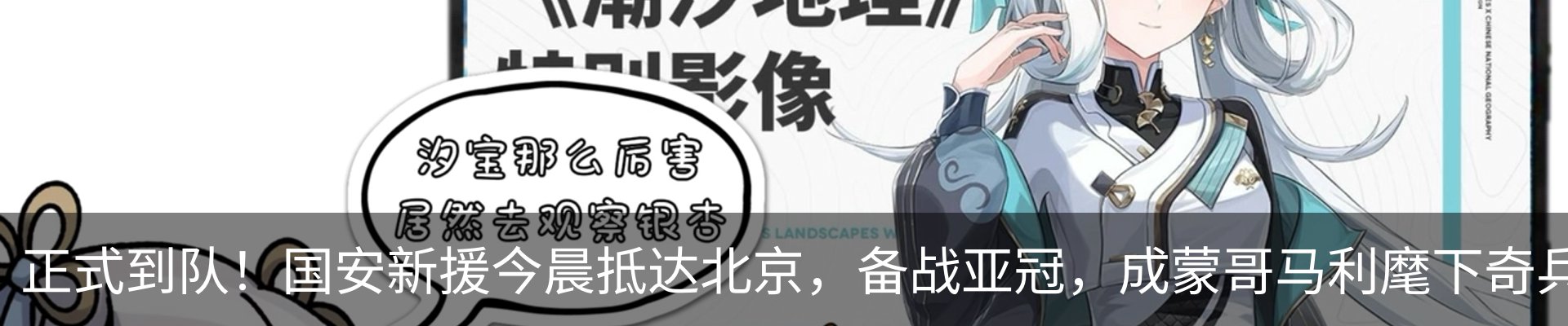 最新动态