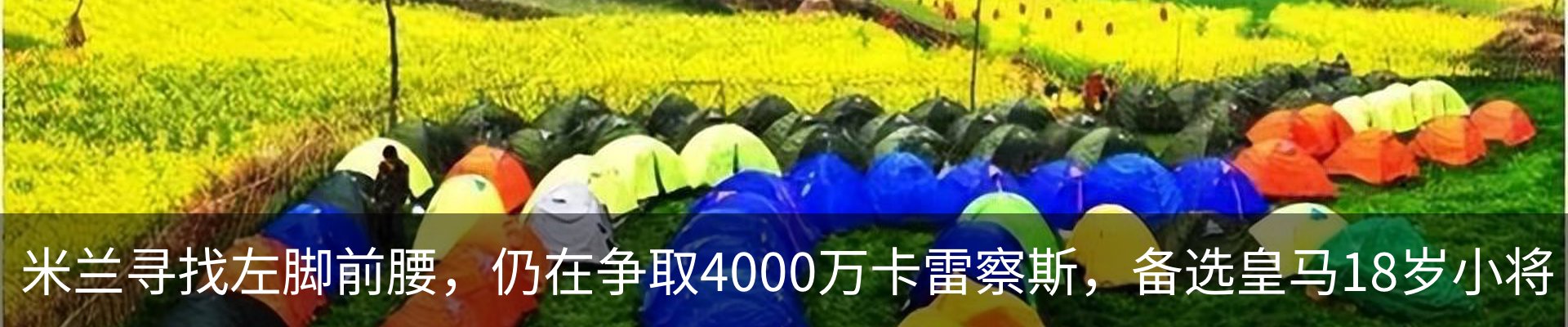 最新动态