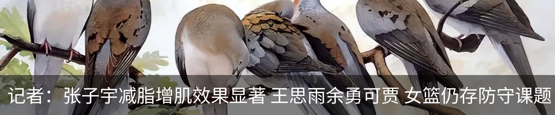 最新动态