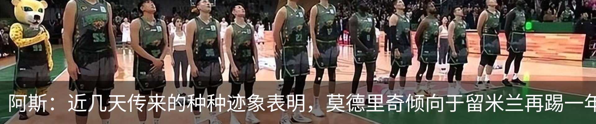 最新动态
