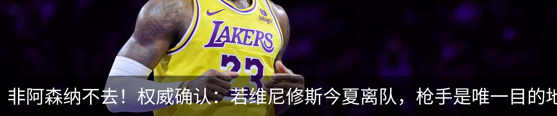 最新动态