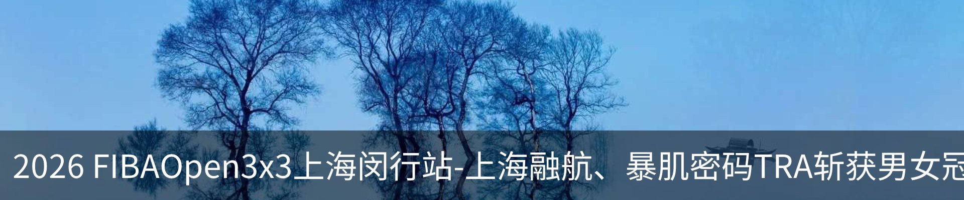 最新动态