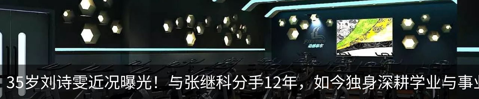 最新动态